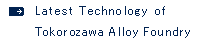 Latest Technology of Tokorozawa Alloy Foundry